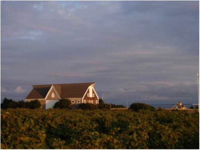 rossignol-winery-1